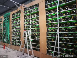 A well-maintained rack of mining rigs in a hosting facility.